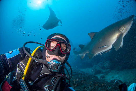 Wolf Rock Dive